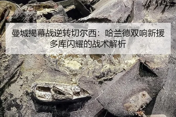 man-cheng-jie-mu-zhan-ni-zhuan-qie-er-xi-ha-lan-de-shuang-xiang-xin-yuan-duo-ku-shan-yao-de-zhan-shu-jie-xi-3-554.jpg